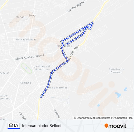 Mapa de L9 de Ómnibus