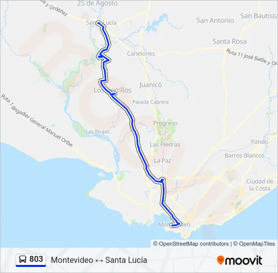 803 Ómnibus Line Map