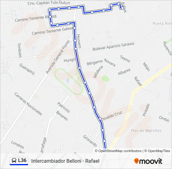 L36 Bus Line Map