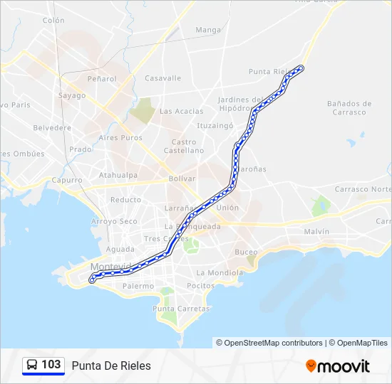 103 Bus Line Map