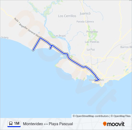 1M Ómnibus Line Map