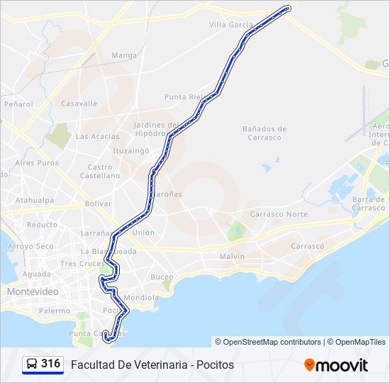 316 Ómnibus Line Map