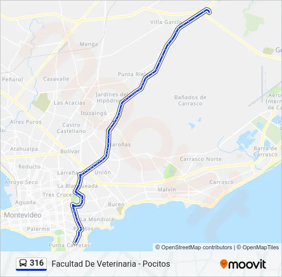 316 Ómnibus Line Map