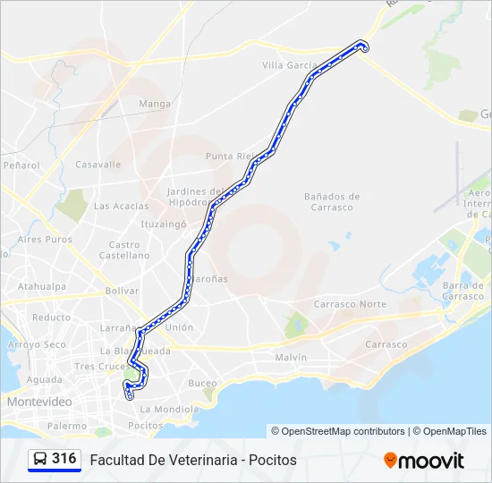 316 Ómnibus Line Map
