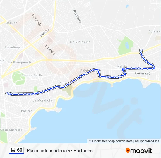 60 Bus Line Map
