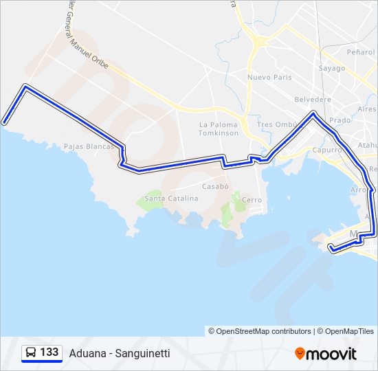 133 Ómnibus Line Map