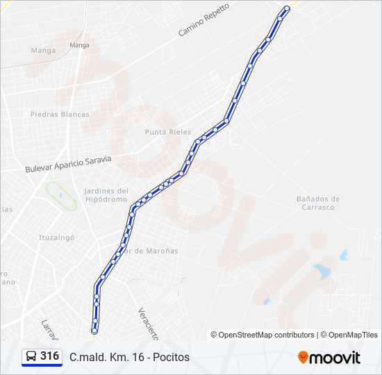 Mapa de 316 de Ómnibus