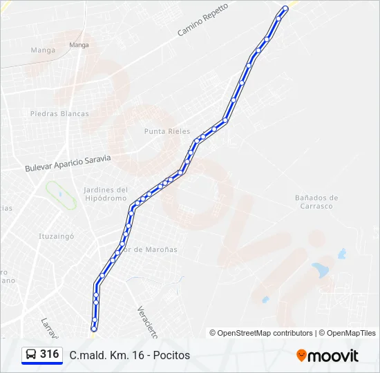 316 Ómnibus Line Map