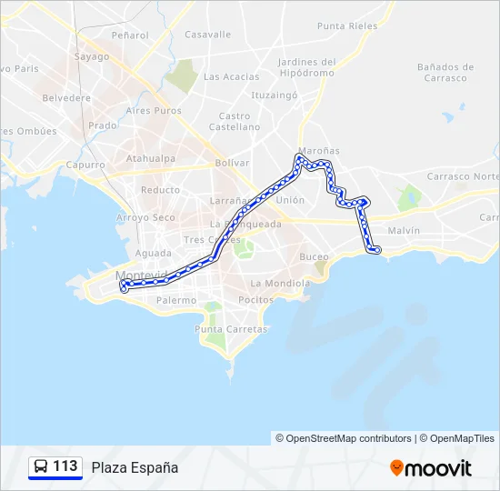 113 Ómnibus Line Map