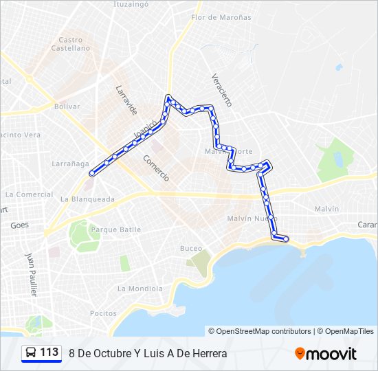 113 Ómnibus Line Map