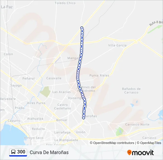300 Ómnibus Line Map