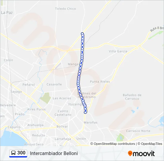 300 Ómnibus Line Map