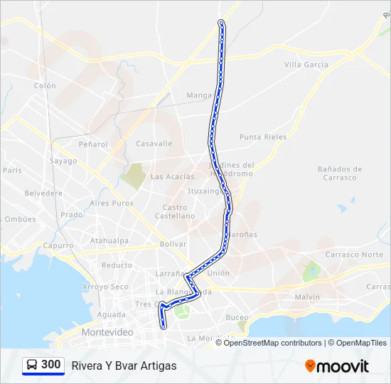 300 Ómnibus Line Map