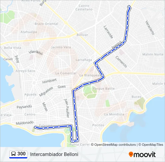 300 Ómnibus Line Map