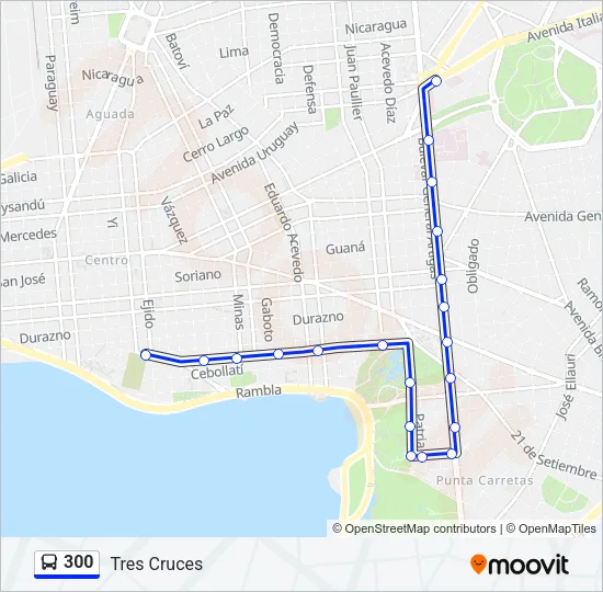 300 Ómnibus Line Map