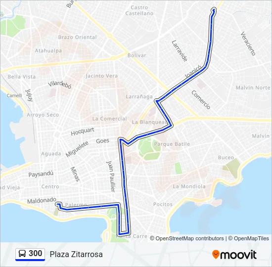 300 Ómnibus Line Map
