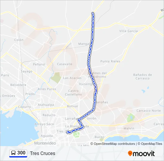 300 Ómnibus Line Map