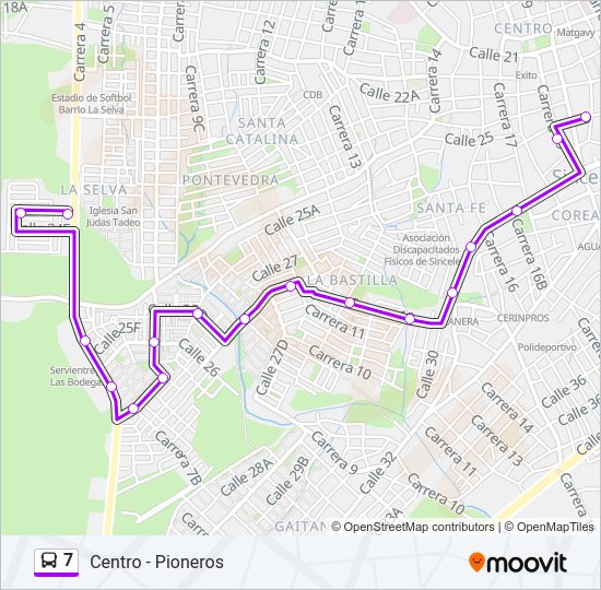 7 Bus Line Map
