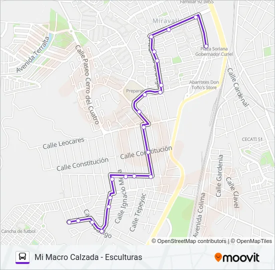 A17 Bus Line Map