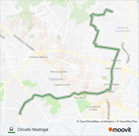 T15/C06 - ANDARES CINCO ESQUINAS Bus Line Map