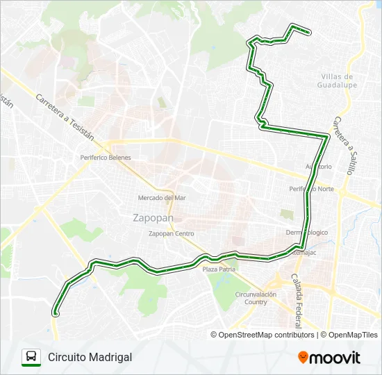 T15/C06 - ANDARES CINCO ESQUINAS Bus Line Map