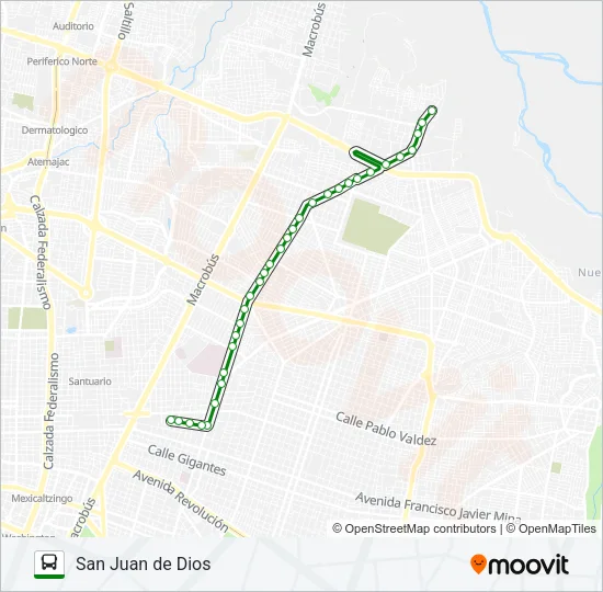 T03/C01 Bus Line Map