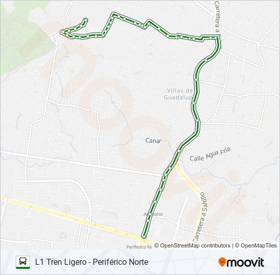 C81 - TREN bus Line Map