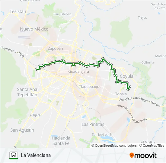 C64 - JALISCO Bus Line Map