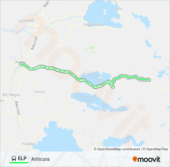 ELP Bus Line Map