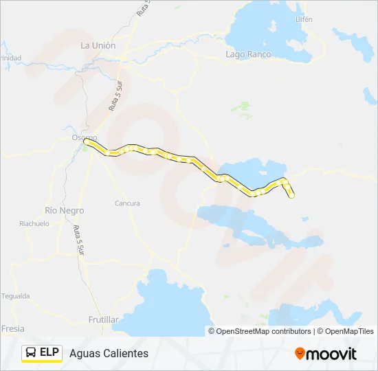 ELP Bus Line Map