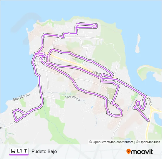 L1-T Bus Line Map