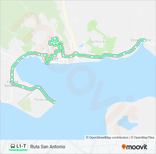 L1-T Bus Line Map