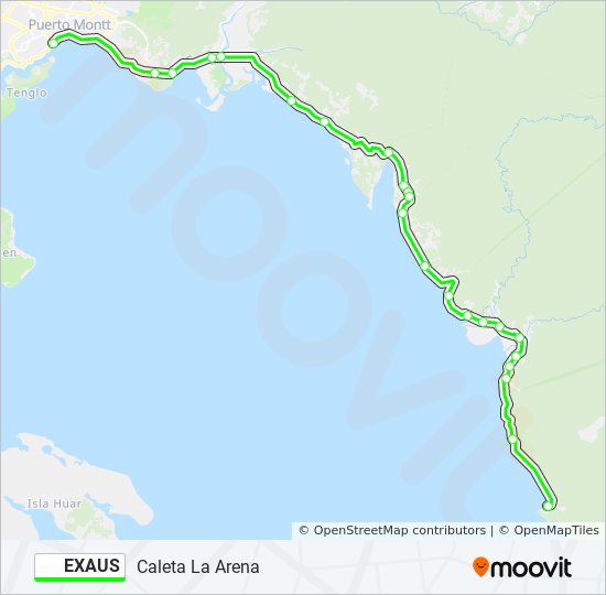 EXAUS bus Line Map