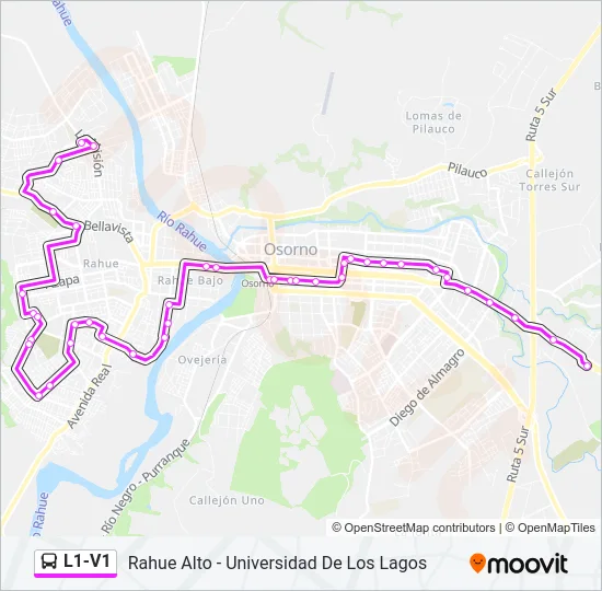 L1-V1 Bus Line Map