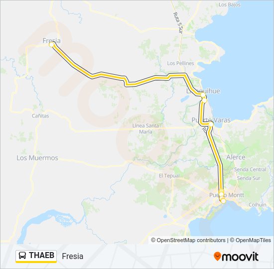 Mapa de THAEB de autobús