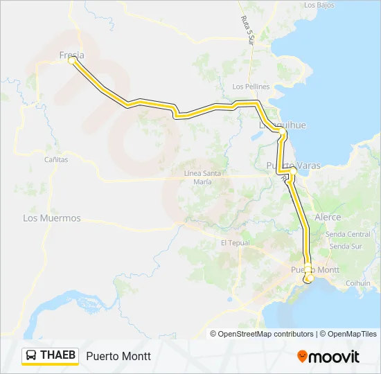 THAEB Bus Line Map