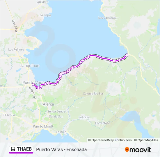 THAEB Bus Line Map