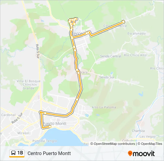 1B Bus Line Map