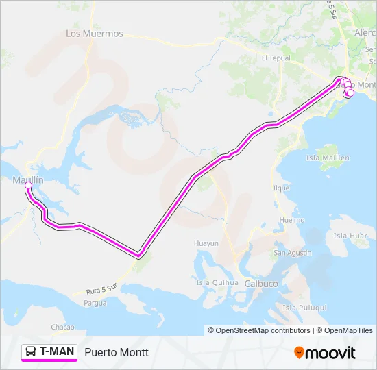 T-MAN Bus Line Map