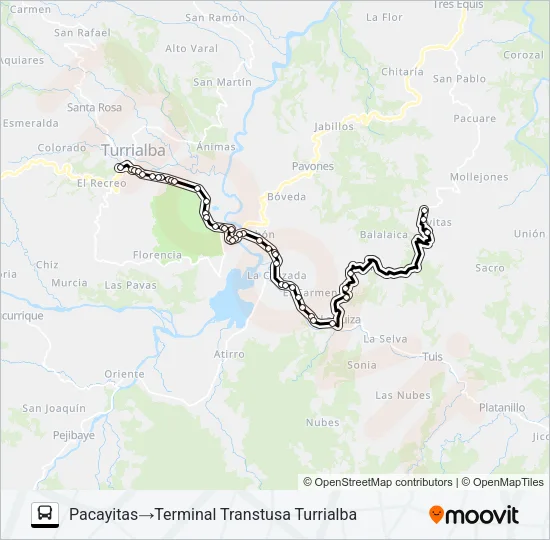 TURRIALBA - PACAYITAS Bus Line Map