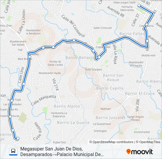 INTERLÍNEA SAN JUAN DE DIOS - DESAMPARADOS Bus Line Map