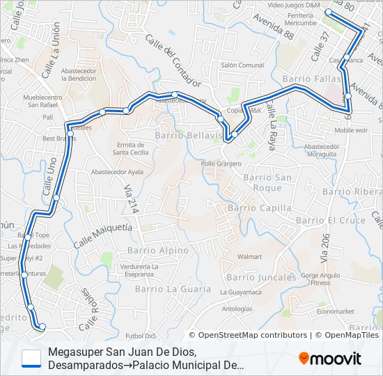INTERLÍNEA SAN JUAN DE DIOS - DESAMPARADOS bus Line Map
