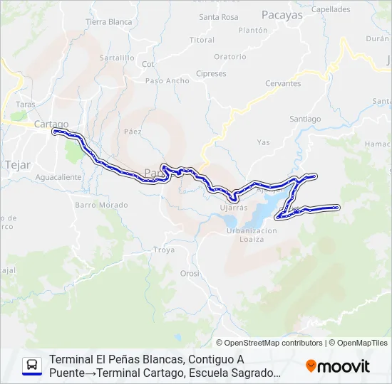 CARTAGO - CACHÍ Y RAMALES Bus Line Map