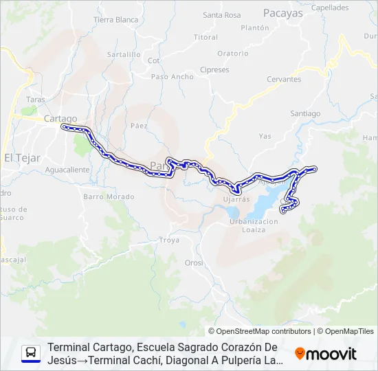 CARTAGO - CACHÍ Y RAMALES Bus Line Map