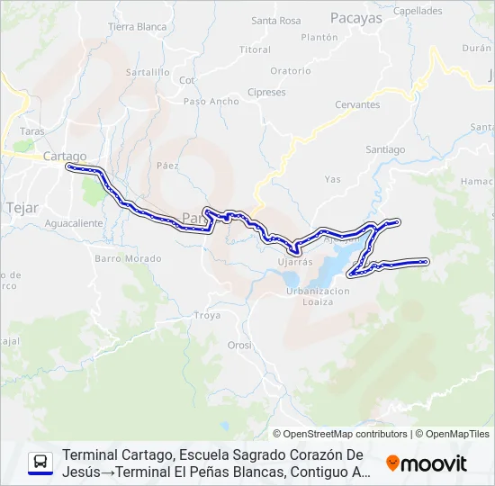 CARTAGO - CACHÍ Y RAMALES Bus Line Map