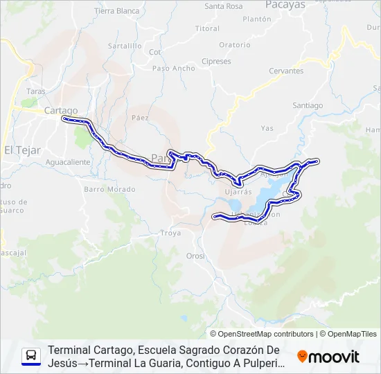 CARTAGO - CACHÍ Y RAMALES Bus Line Map