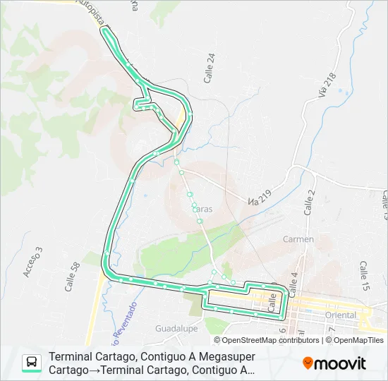 CARTAGO - OCHOMOGO Bus Line Map