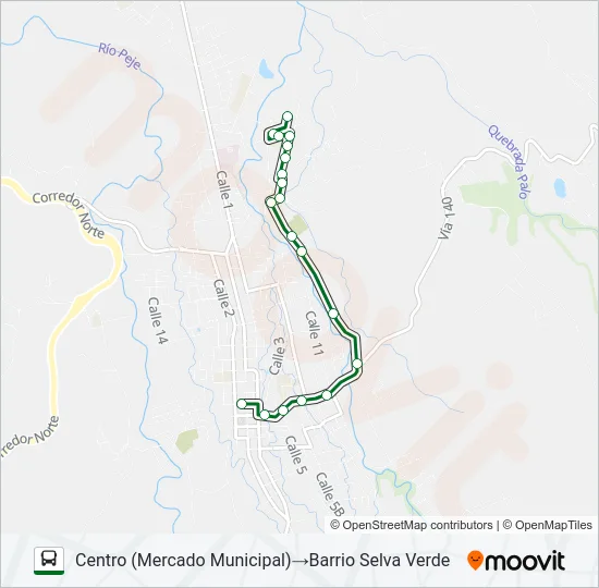 CIUDAD QUESADA - CAMPO 2 Bus Line Map