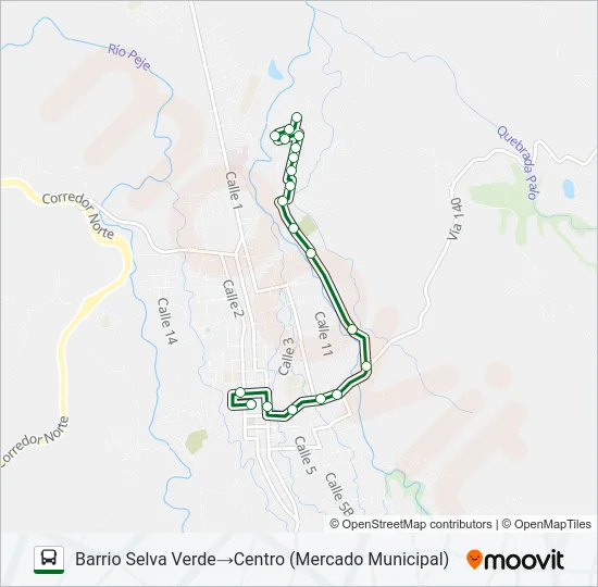 CIUDAD QUESADA - CAMPO 2 Bus Line Map
