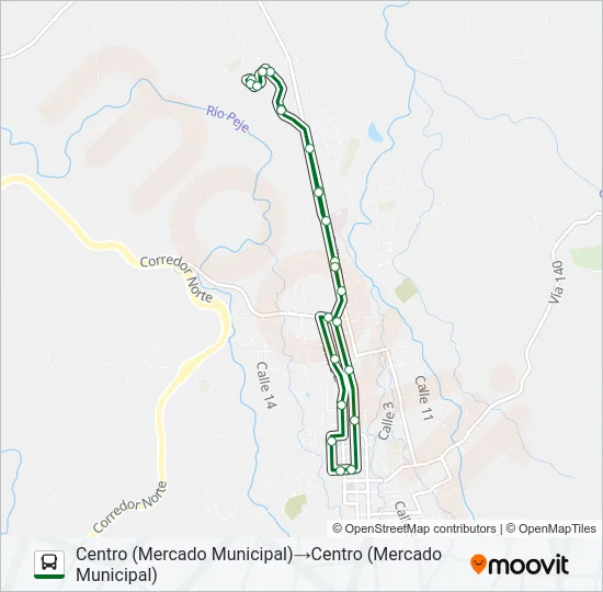 CIUDAD QUESADA - COROBICI Bus Line Map